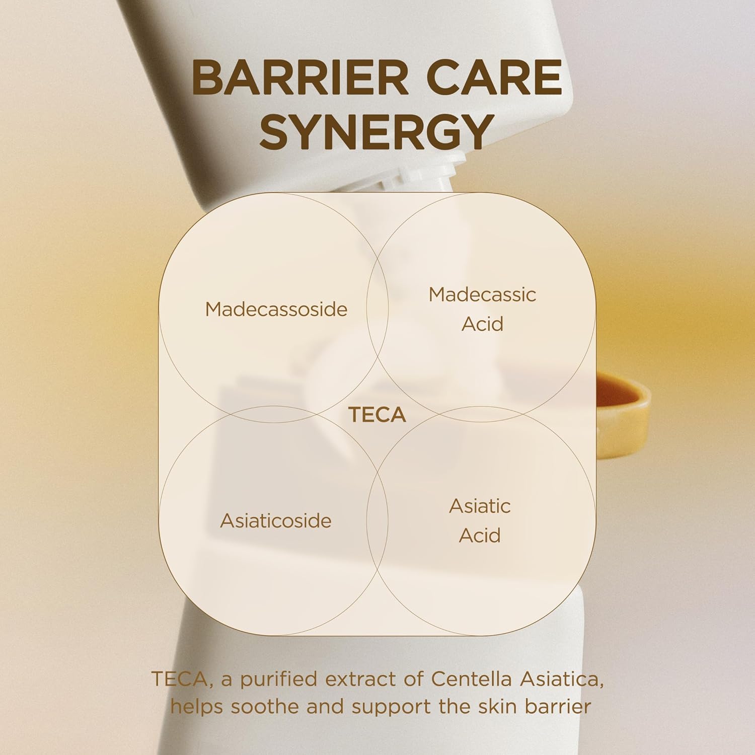 81yweNwXEWL._AC_SL1500_ 81yweNwXEWL._AC_SL1500_