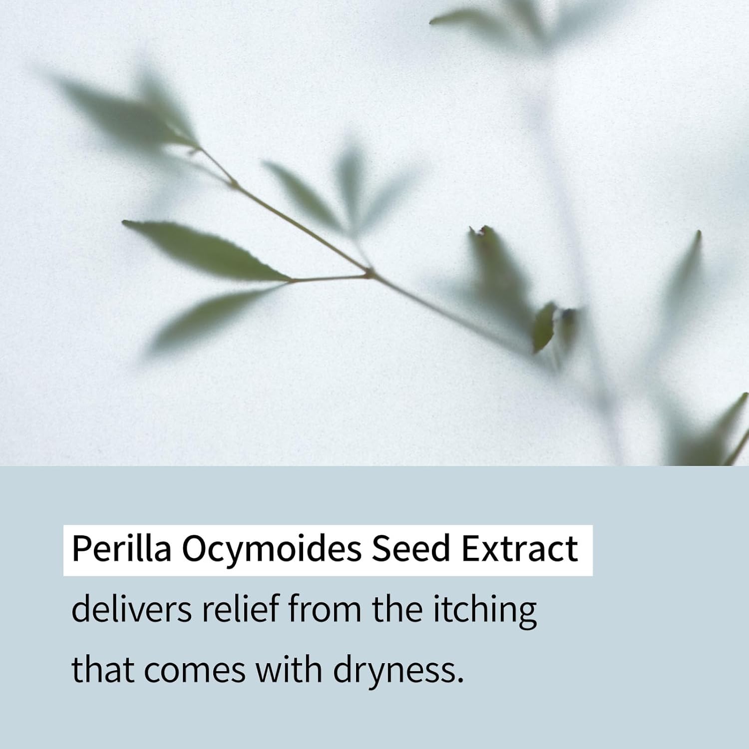 71ZJIaCji+L._AC_SL1500_ 71ZJIaCji+L._AC_SL1500_