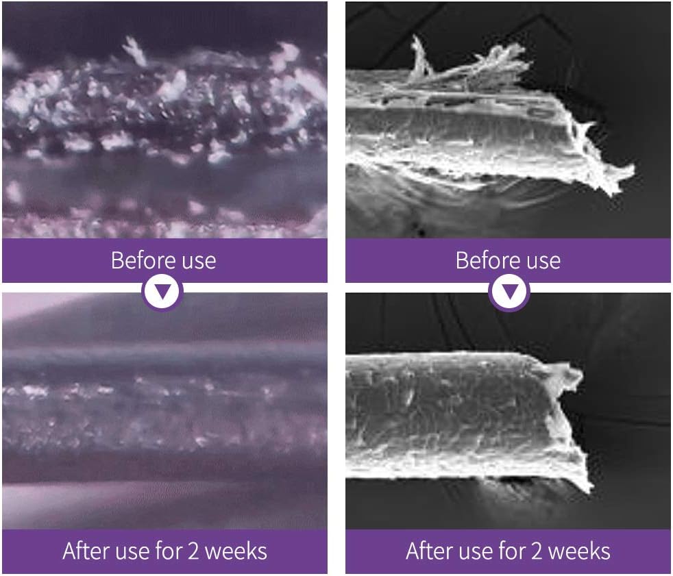 61OLxL2yBdL._AC_SL1000_ 61OLxL2yBdL._AC_SL1000_