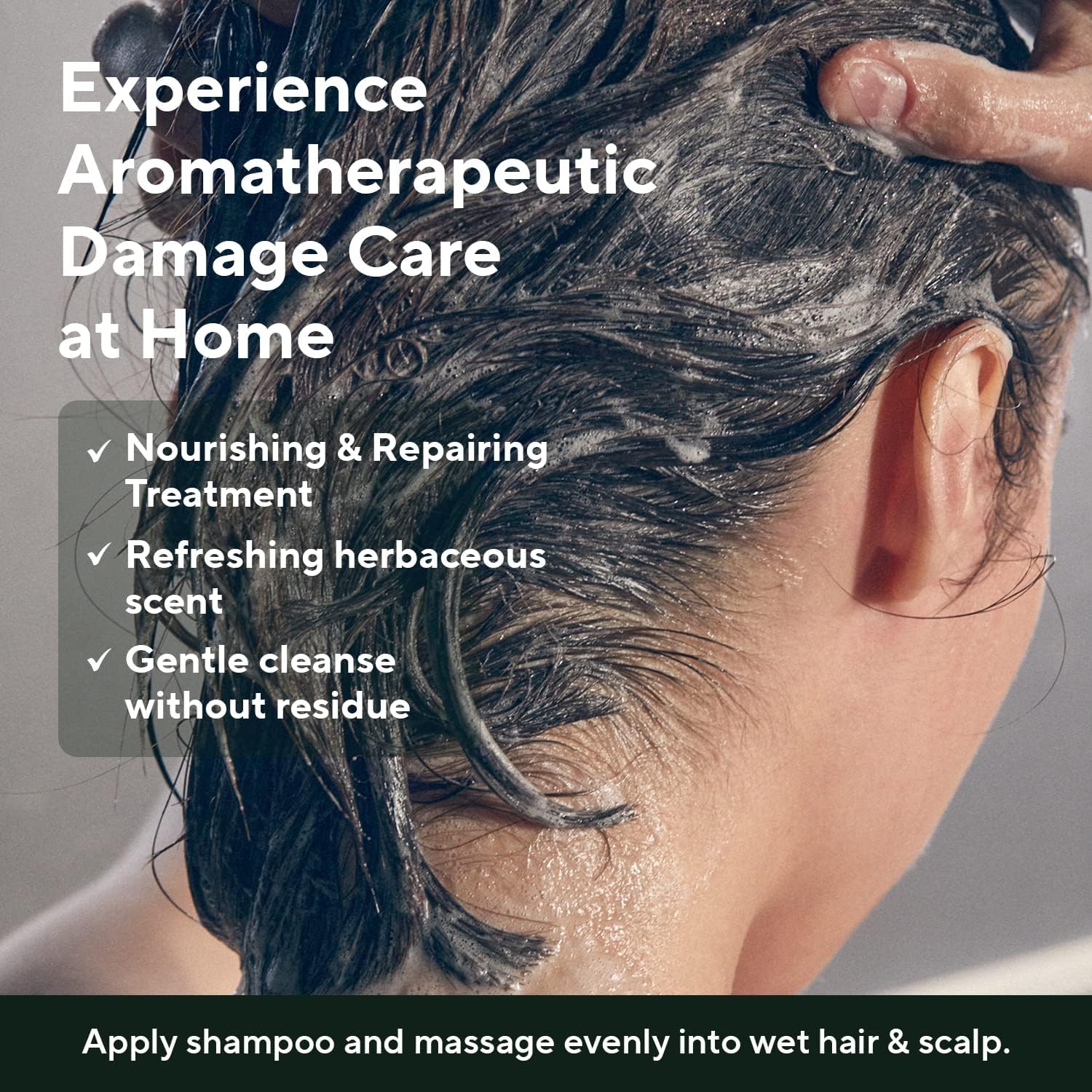 81GraAPCALL._AC_SL1500_ 81GraAPCALL._AC_SL1500_