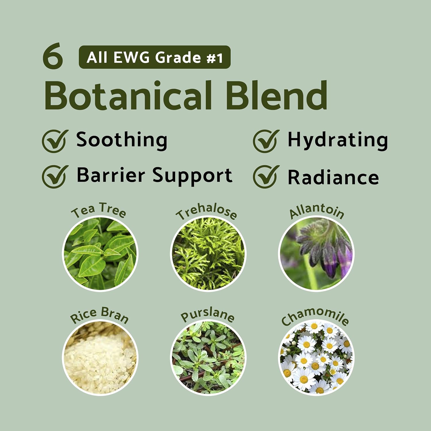 81fWCD2UAXL._AC_SL1500_ 81fWCD2UAXL._AC_SL1500_