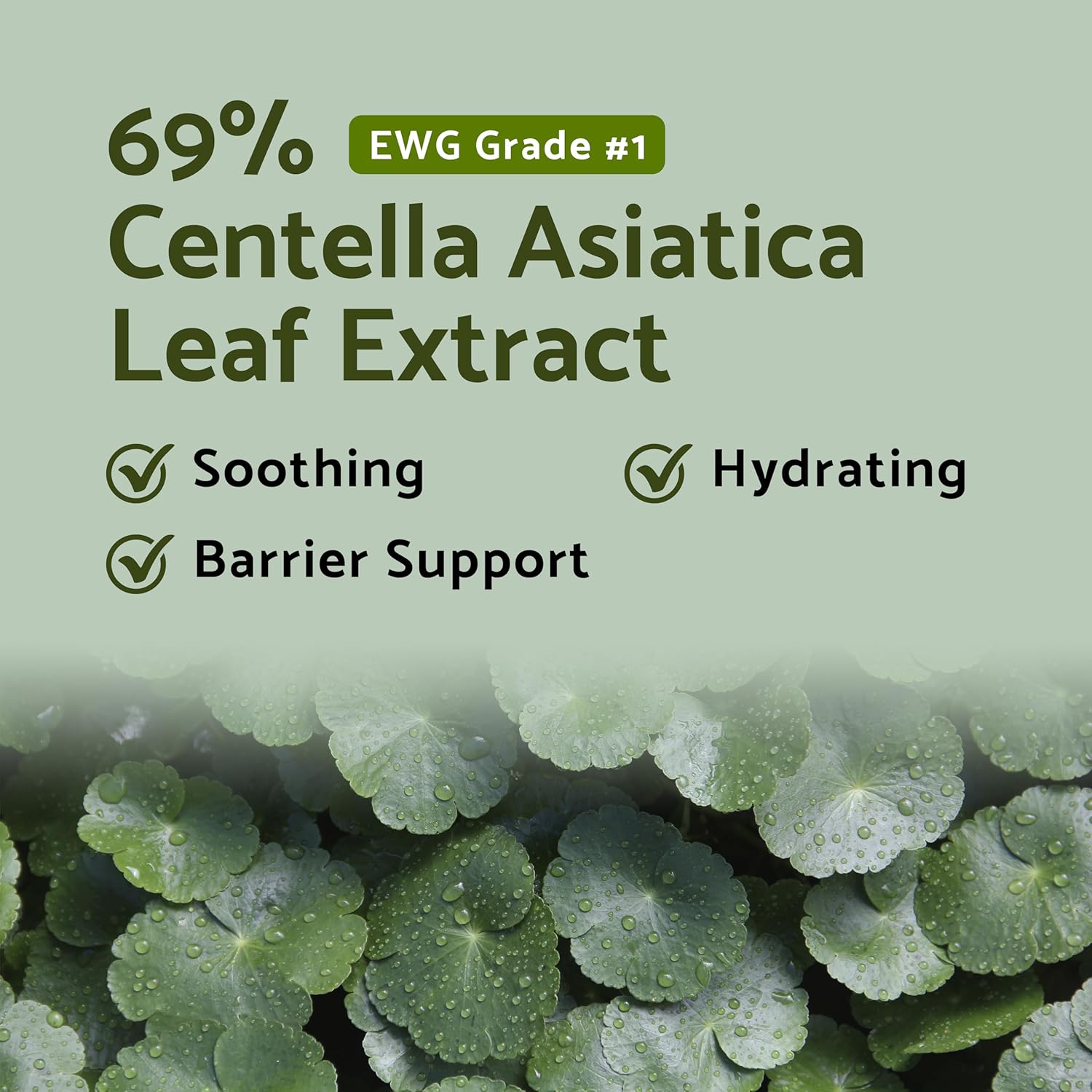 81uhb8tbCsL._AC_SL1500_ 81uhb8tbCsL._AC_SL1500_