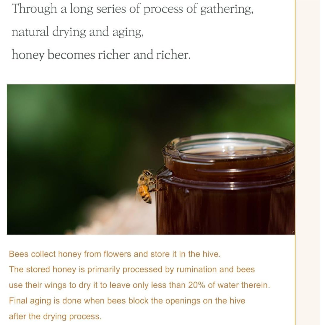 61d1H6wOlML._AC_SL1100_ 61d1H6wOlML._AC_SL1100_