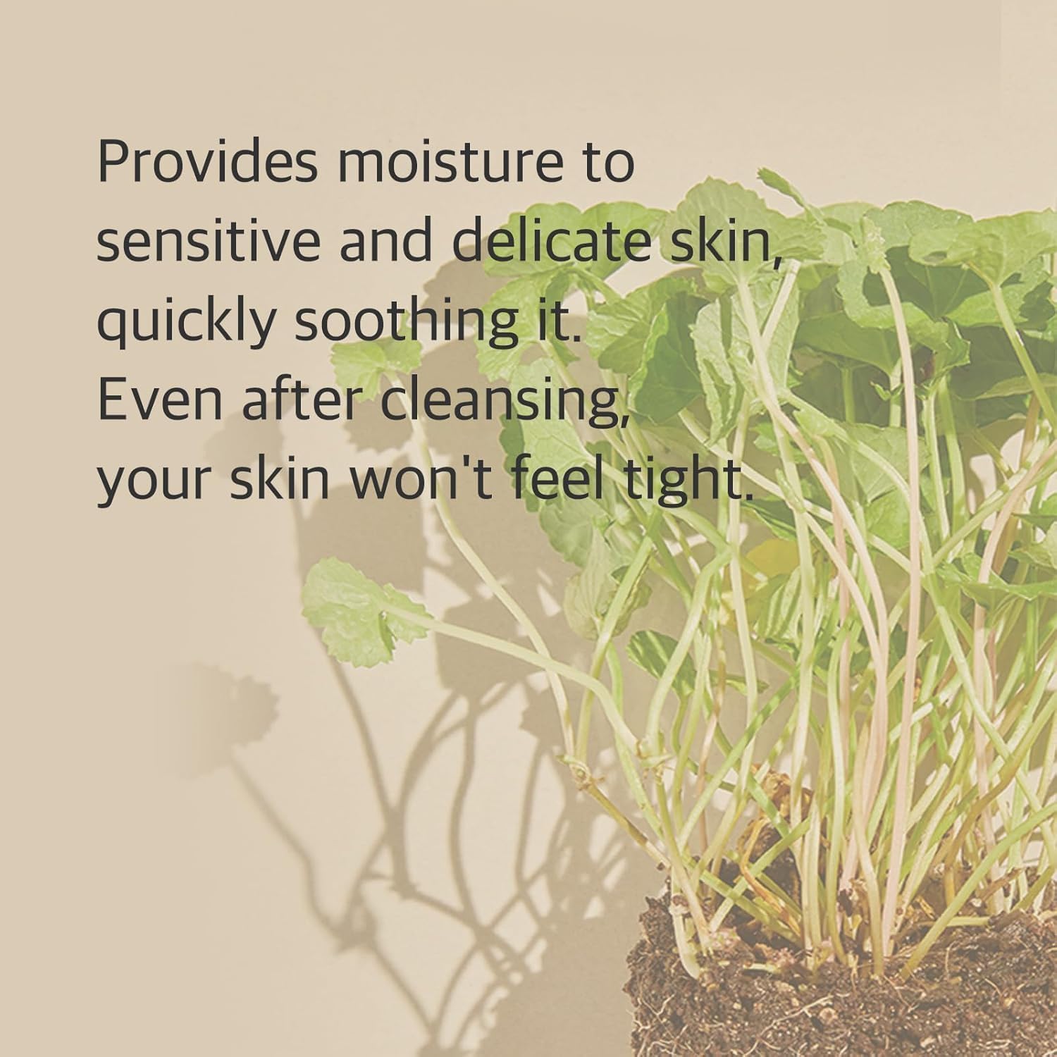 71NeAb3WFhL._AC_SL1500_ 71NeAb3WFhL._AC_SL1500_