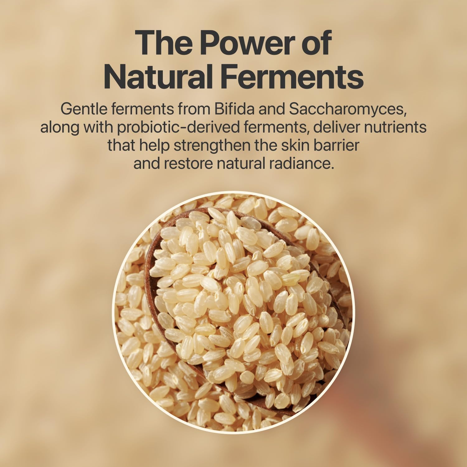 71o6Sf9mA-L._AC_SL1500_ 71o6Sf9mA-L._AC_SL1500_