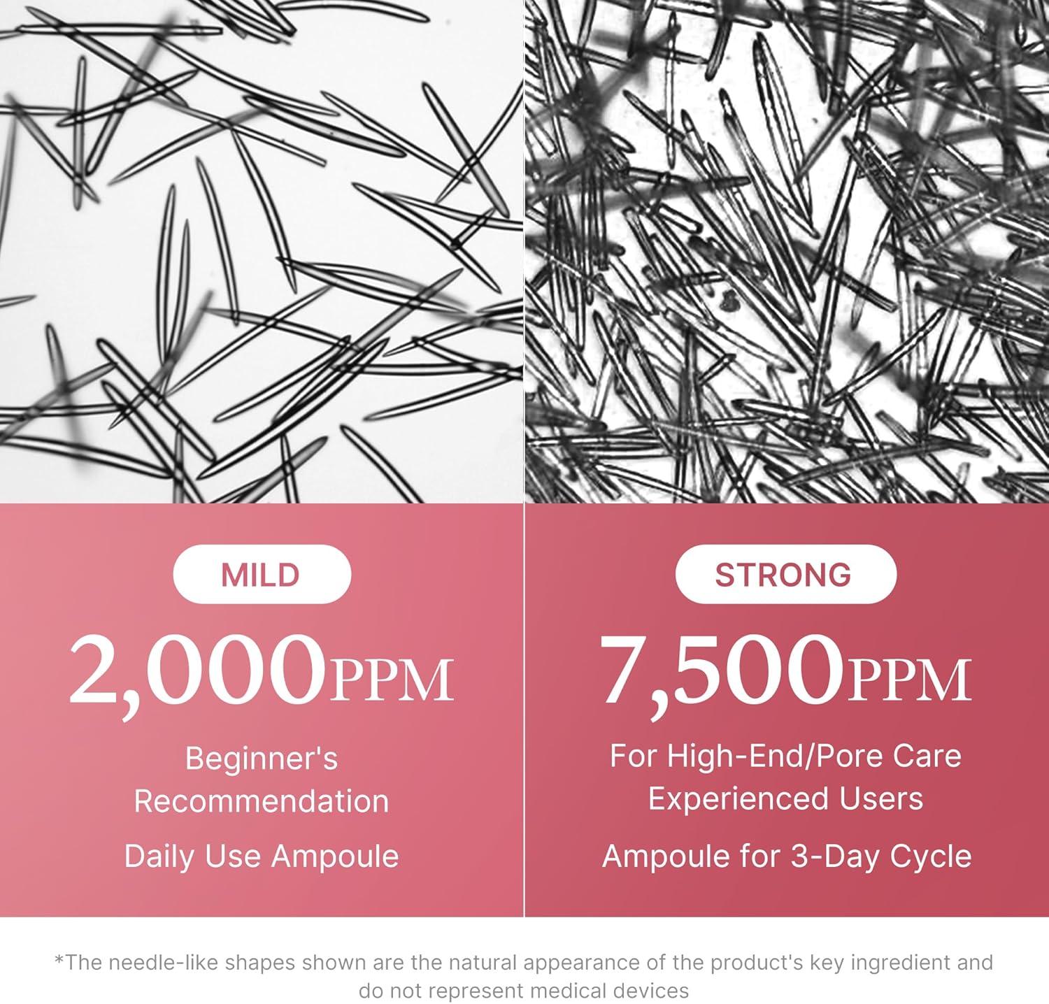 81J8K-Qsf+L._AC_SL1500_ 81J8K-Qsf+L._AC_SL1500_