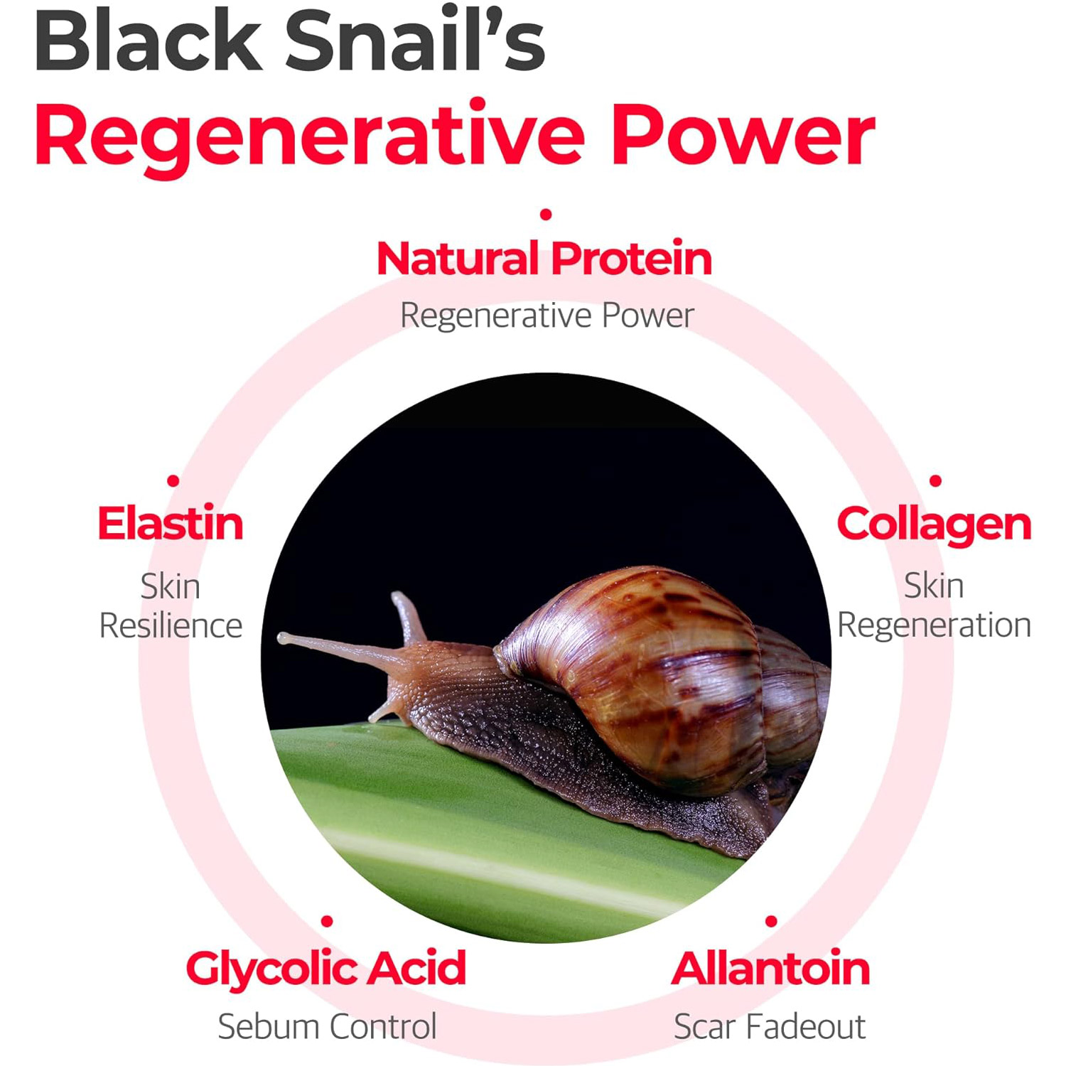 71XtFOOeTYL._AC_SL1500_ 71XtFOOeTYL._AC_SL1500_