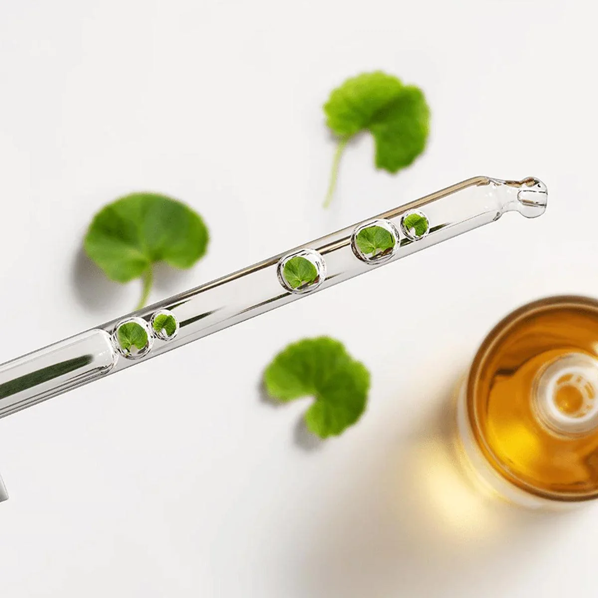 madagascar-centella-ampoule-3.webp madagascar-centella-ampoule-3.webp